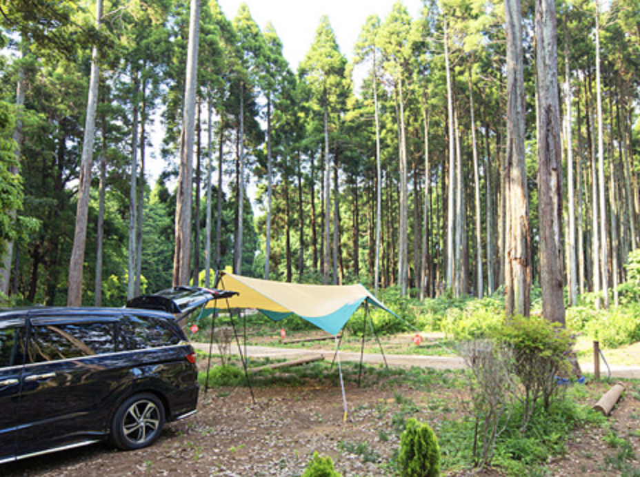 昭和の森フォレストビレッジ