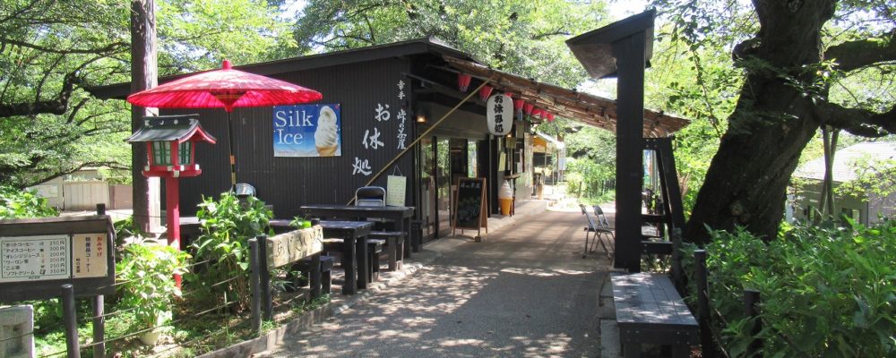 幸手権現堂桜堤【権現堂公園】